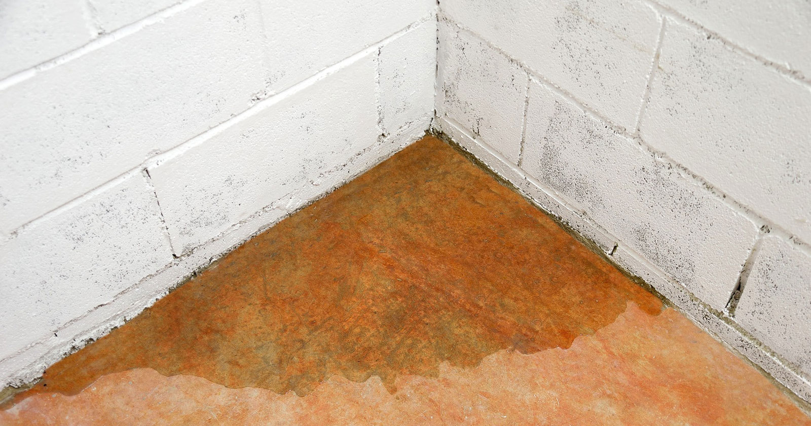 Water seeping across a concrete floor in the corner of a block wall room